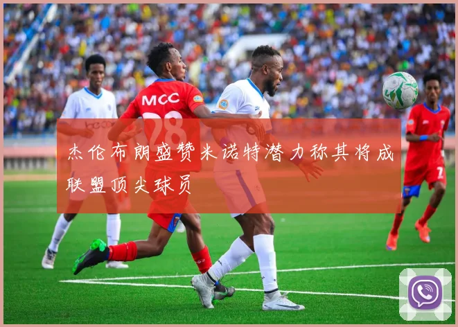 杰伦布朗盛赞米诺特潜力称其将成联盟顶尖球员