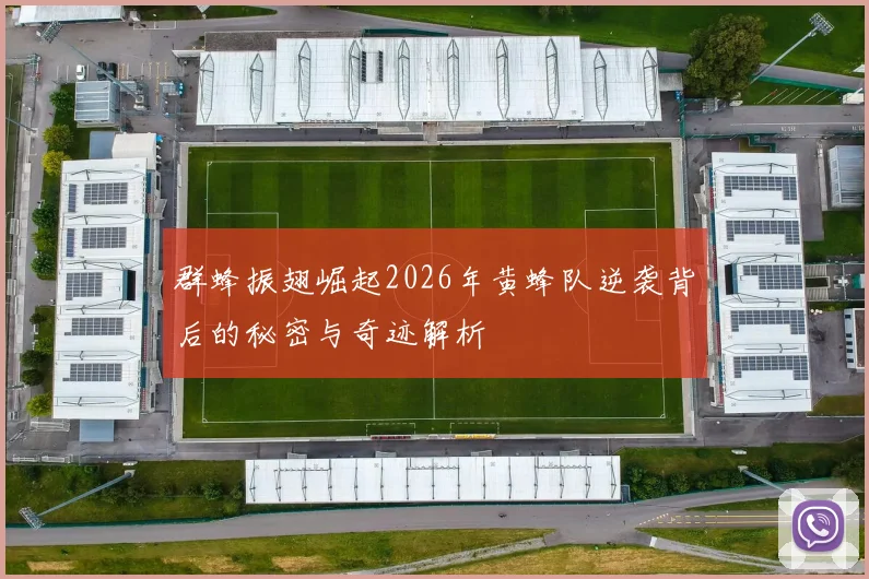 群蜂振翅崛起2026年黄蜂队逆袭背后的秘密与奇迹解析