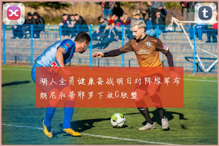 湖人全员健康备战明日对阵绿军布朗尼和蒂耶罗下放G联盟