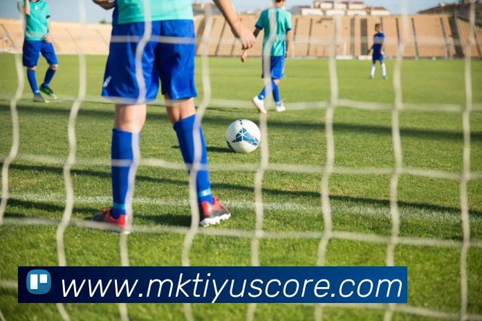 MK体育发展历程